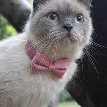 Load image into Gallery viewer, HiFuzzyPet 2/4 Pack Cat Bow Tie Collar, Breakaway Cat Collar

