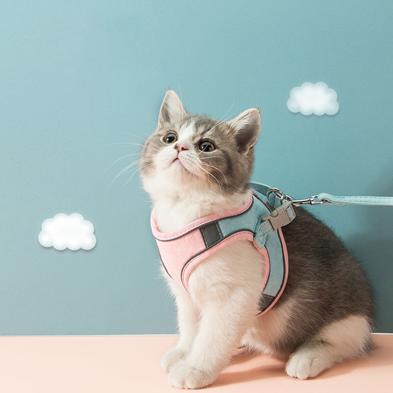 HiFuzzyPet Escape-proof Cat Harness and Leash for Walking