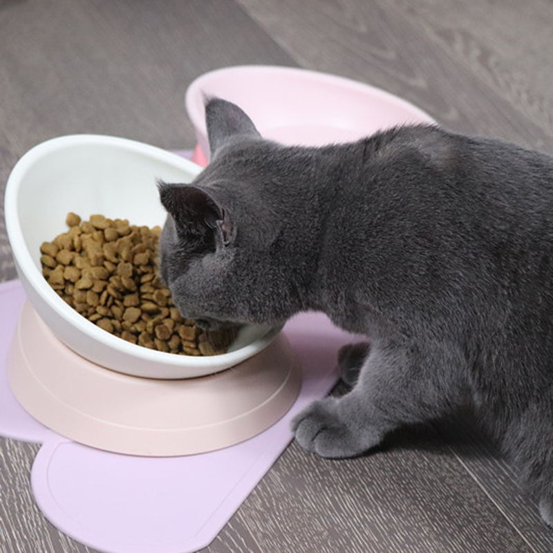 white and pink elevated cat bowl