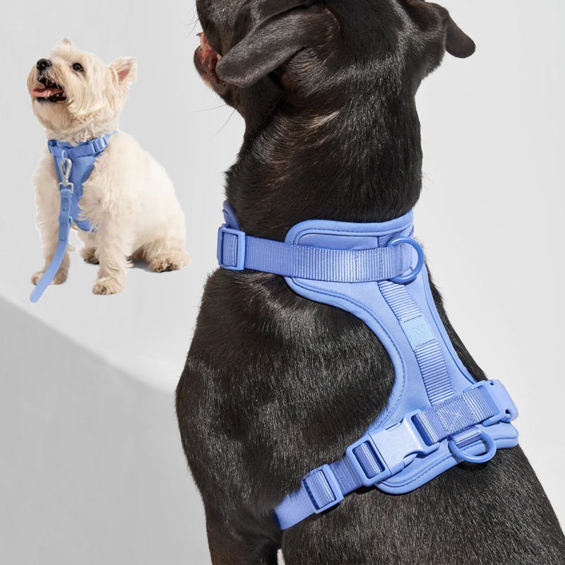 moonlight blue dog vest harnesses 