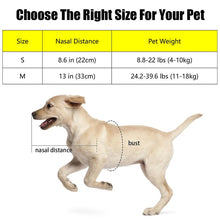 Load image into Gallery viewer, blind dog halo size chart
