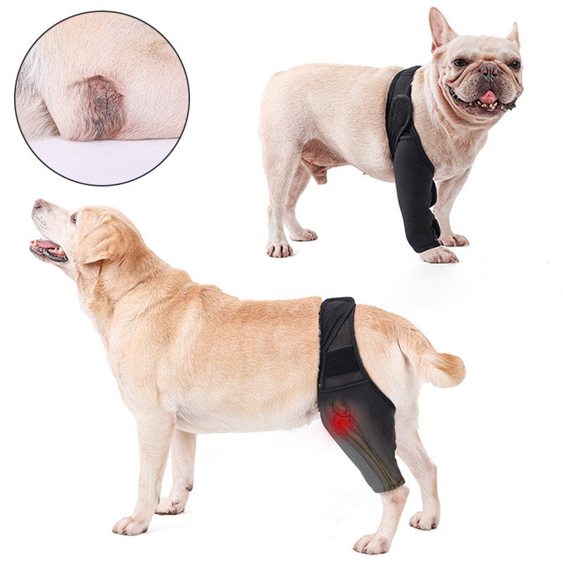 Dog knee brace for front and back leg