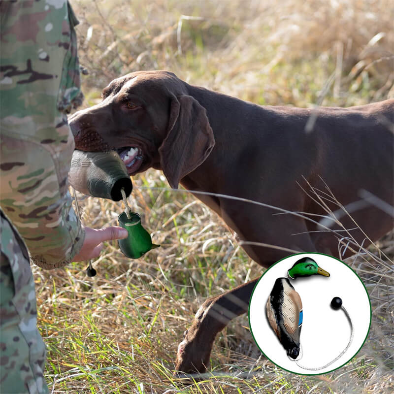 duck dog bumpers for hunting & training