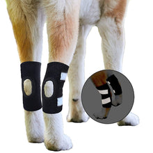Load image into Gallery viewer, HiFuzzyPet 2-Pack Rear Dog Leg Hock Brace with Reflective Straps
