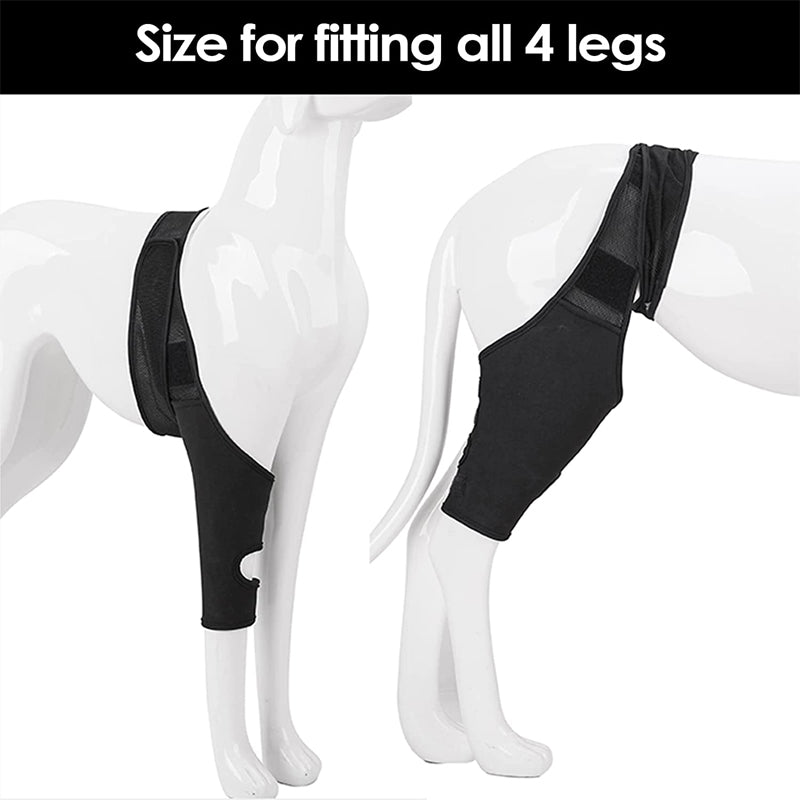 Dog knee brace fit all legs