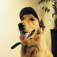 Load image into Gallery viewer, HiFuzzyPet G Pattern Dog Hat Pet Baseball Cap
