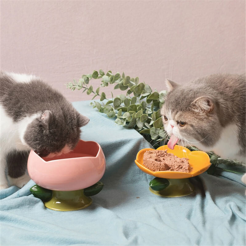 HiFuzzyPet Flower Shape Ceramic Raised Cat Bowl