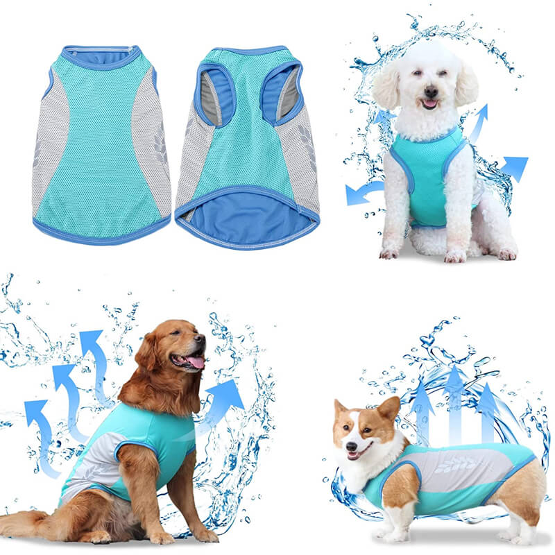 green dog cooling vest 