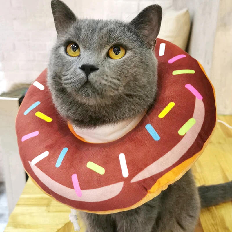 A-brown cat donut cone