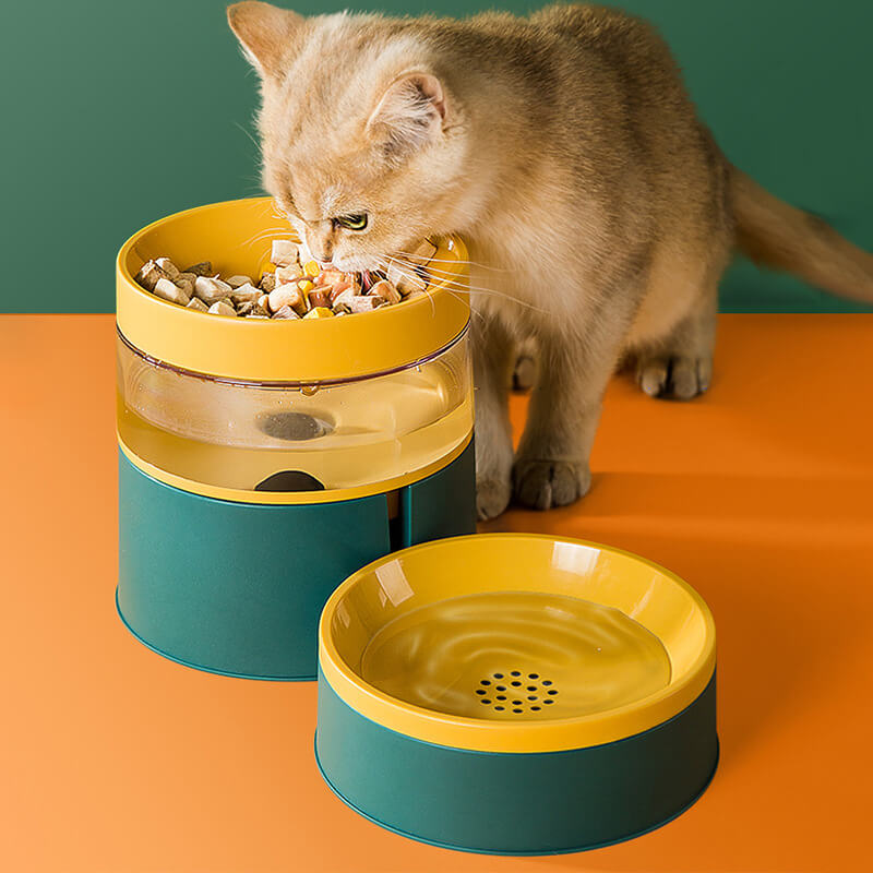 2 in 1 Cat Bowl Feeder and Water Bowl Set