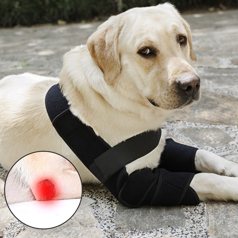 dog elbow pads for relief pain