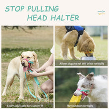 Load image into Gallery viewer, stop pulling gentle leader head collar

