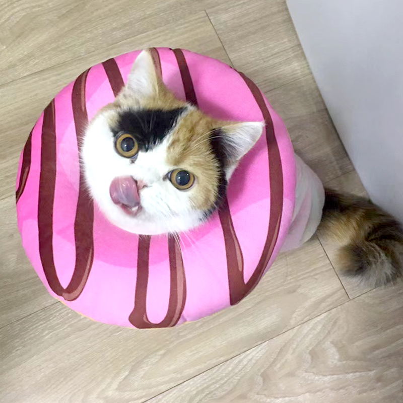 B-pink cat donut cone