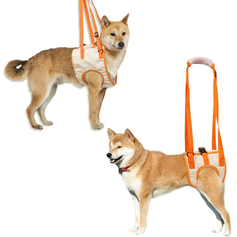 Front and back leg dog lift harness 