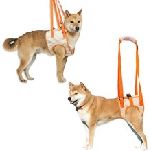 Load image into Gallery viewer, Front and back leg dog lift harness 
