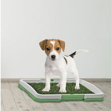 Load image into Gallery viewer, HiFuzzyPet Dog Pee Pad, Puppy Litter Box for Small Dog
