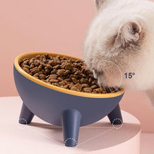Load image into Gallery viewer, HiFuzzyPet 15° Tilted Elevated Cat Bowls for Anti-Vomitng

