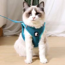 Load image into Gallery viewer, HiFuzzyPet Air Mesh Cat Harness and Leash Set
