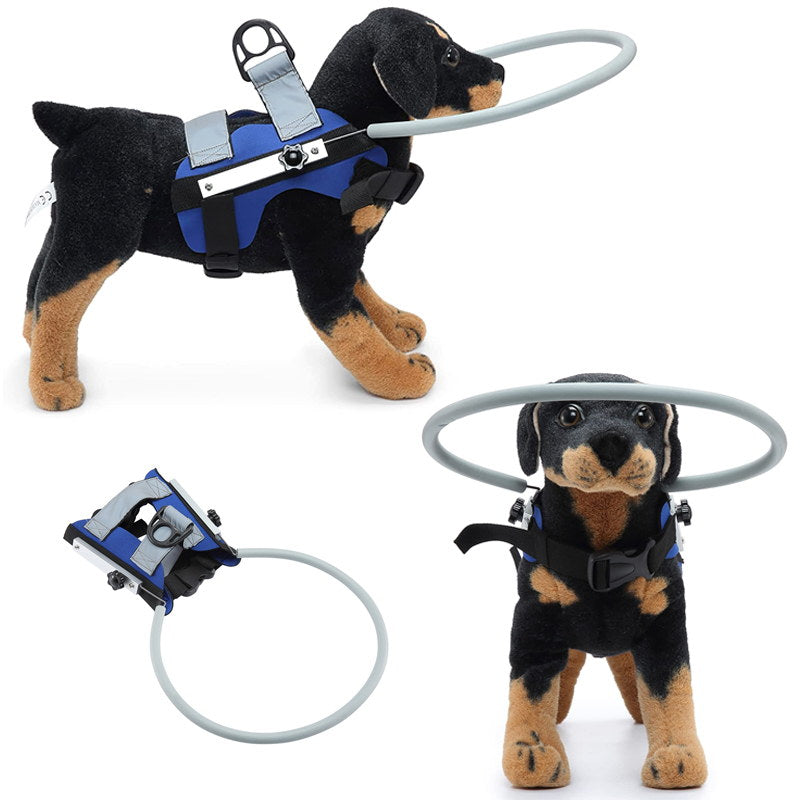 blue blind dog halo with reflective strap