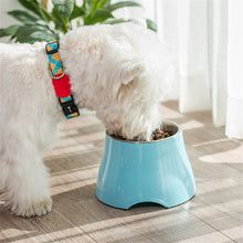 Load image into Gallery viewer, blue elevated dog bowl 
