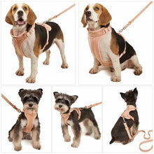 Load image into Gallery viewer, dog vest harnesses display
