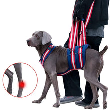 Load image into Gallery viewer, dog lifting harness for older dog 
