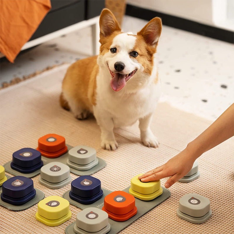 dog talking button for communication