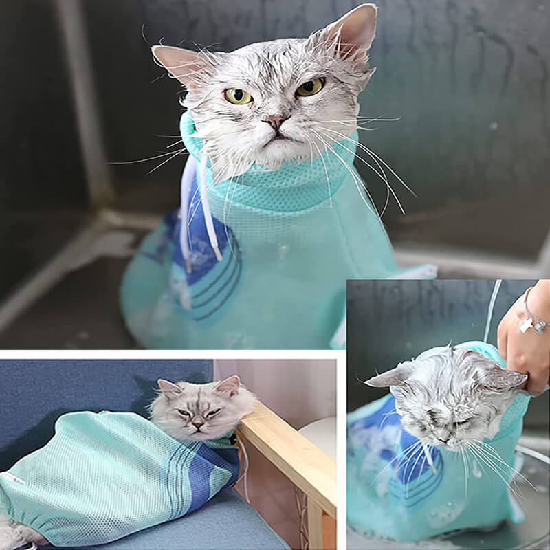 cat bathing bag model display