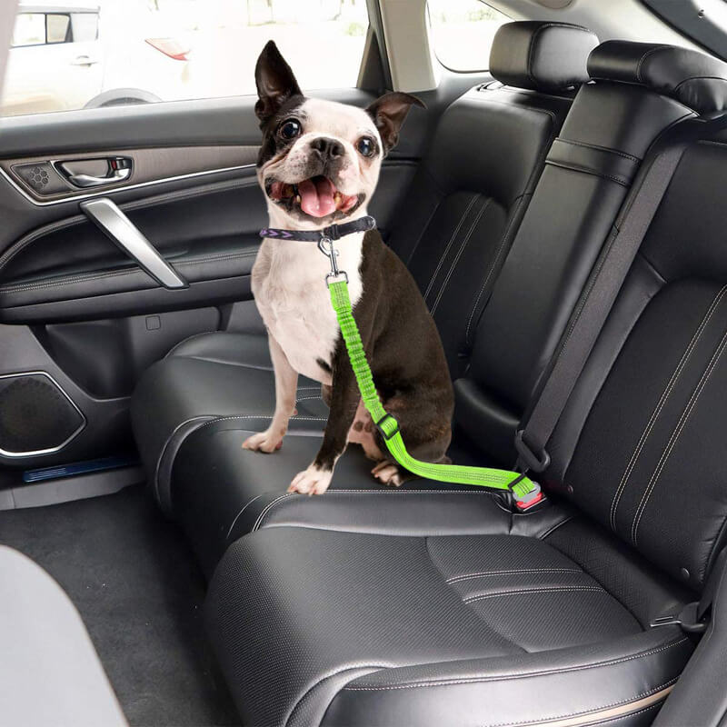 HiFuzzyPet 2 Packs Dog Seat Belt with Reflective Strips