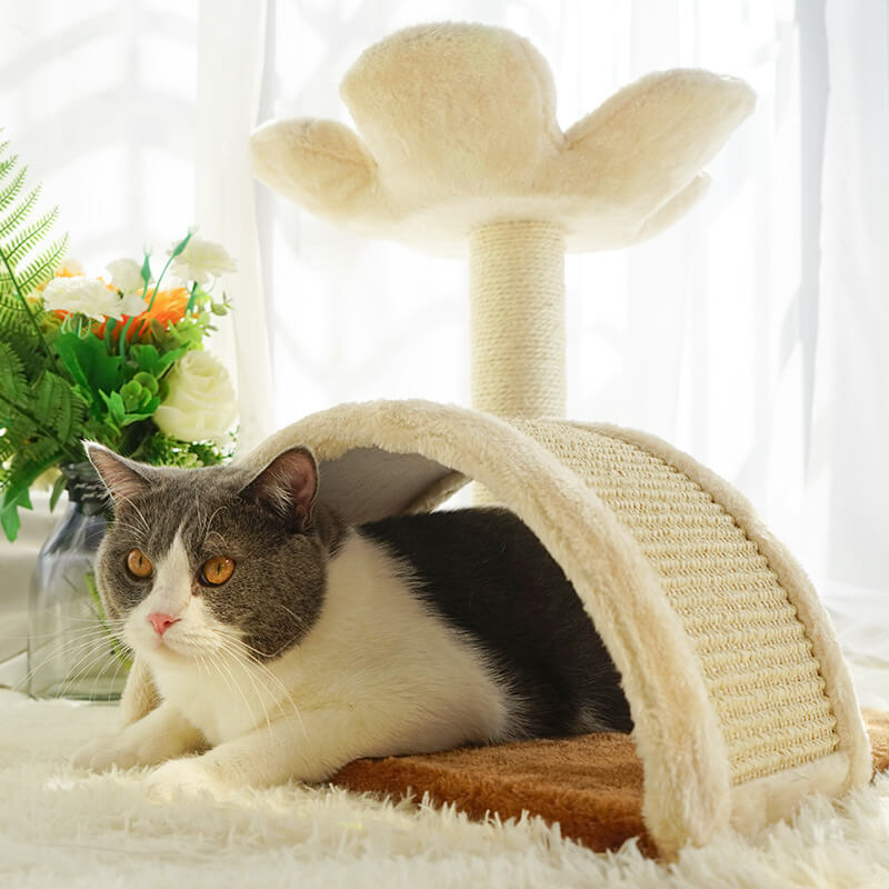 flower cat tree with comfy and safe sleep