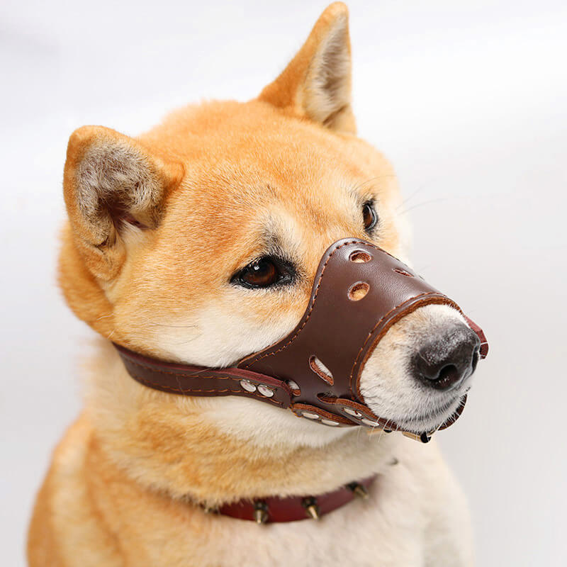 HiFuzzyPet Adjustable Dog Muzzle for Biting Barking