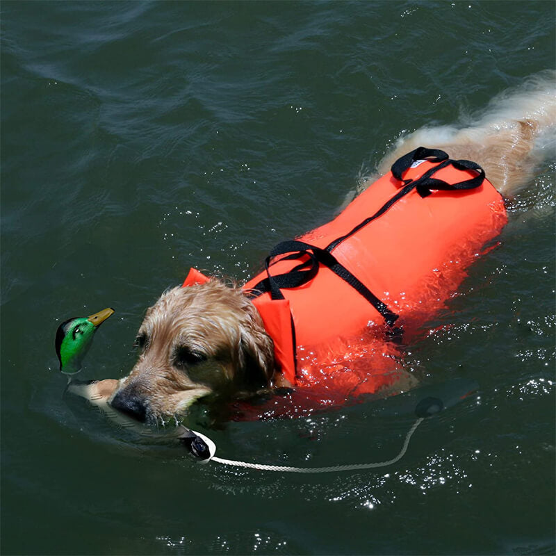 duck dog training bumpers can float