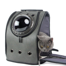 Load image into Gallery viewer, HiFuzzyPet Portable Leather Cat Backpack Carrier with Bubble
