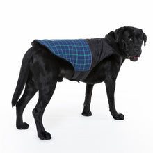 Load image into Gallery viewer, HiFuzzyPet Windproof Dog Jacket for Winter
