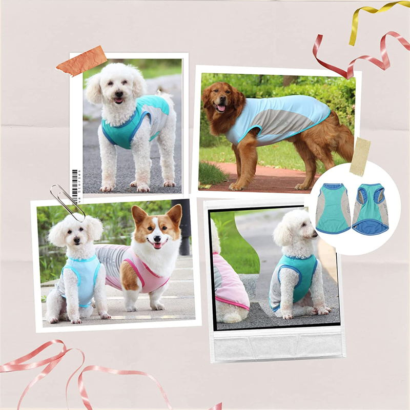 dog cooling vest 