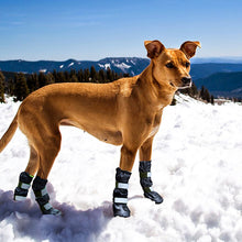 Load image into Gallery viewer, winter dog boots keep warm and comfy
