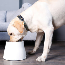 Load image into Gallery viewer, white elevated dog bowl 
