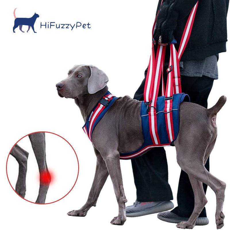 Full Body dog lift harness for  back leg