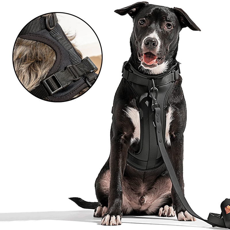 black dog vest harnesses 