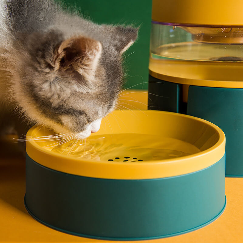 2 in 1 Cat Bowl Feeder and Water Bowl Set