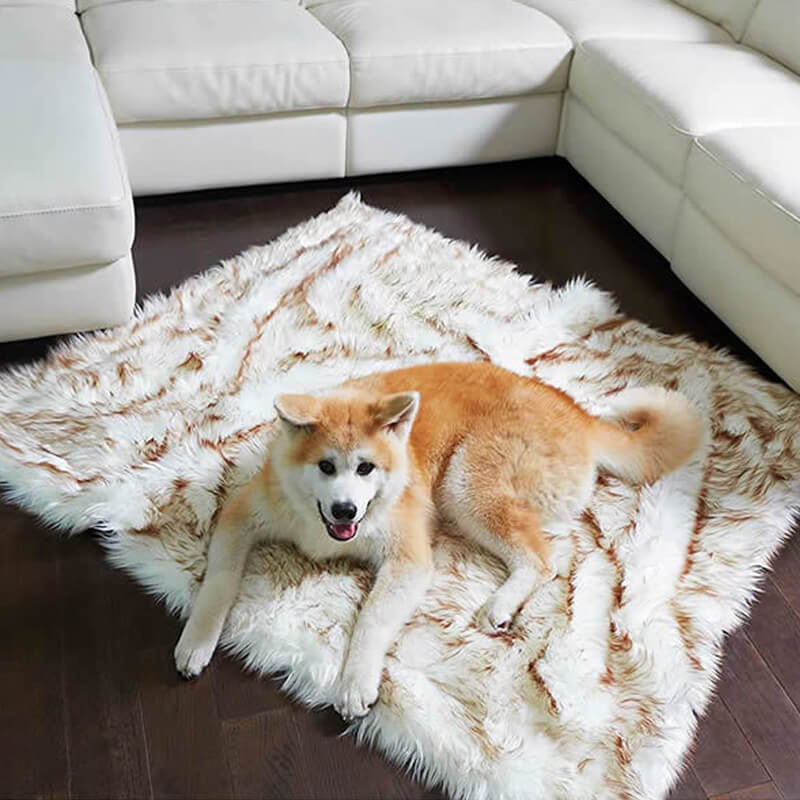 soft and warm dog blanket couch protector