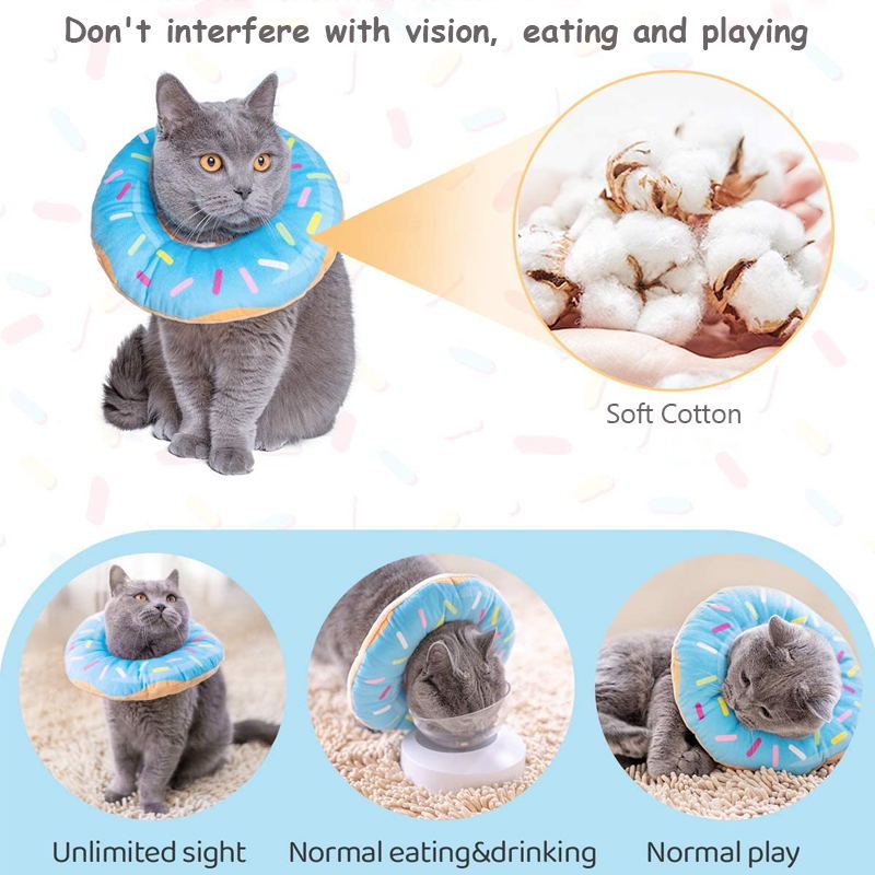 cat cone can use in multiple scenarios