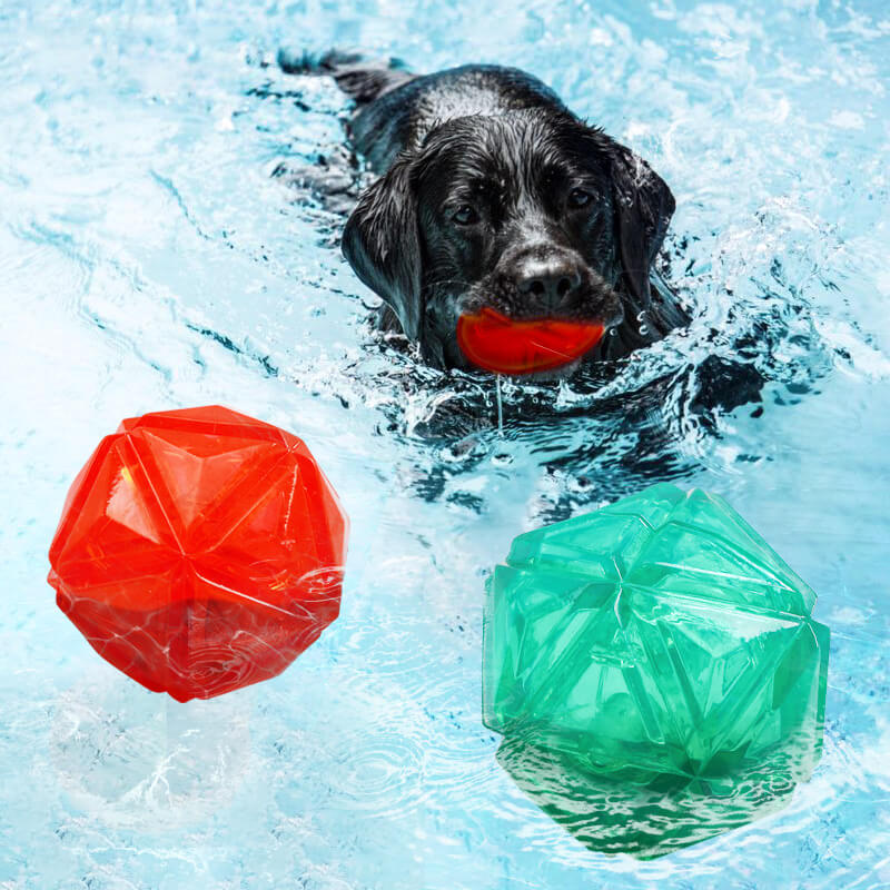 float light-up dog ball toy