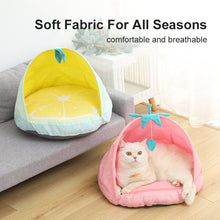 Load image into Gallery viewer, HiFuzzyPet Fruit Cute Cat Bed Pet Tent Bed
