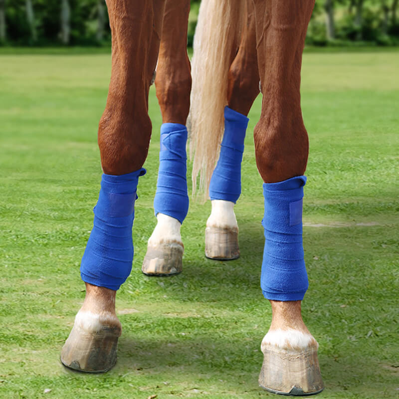 horse polo leg wraps display(four-legg) 
