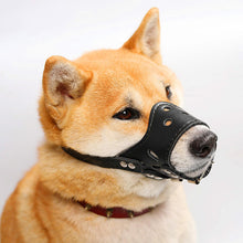 Load image into Gallery viewer, HiFuzzyPet Adjustable Dog Muzzle for Biting Barking
