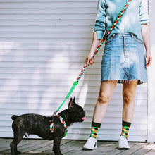 Load image into Gallery viewer, HiFuzzyPet Multifunctional 3 in 1 Hands Free Dog Leashes
