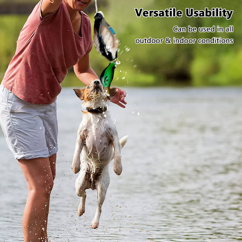 versatile usability duck dog training bumper