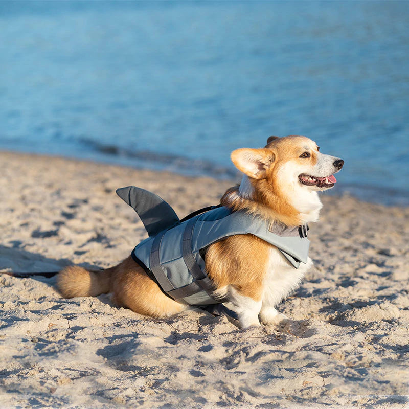 HiFuzzyPet Shark Fin Dog Life Jacket for Swimming