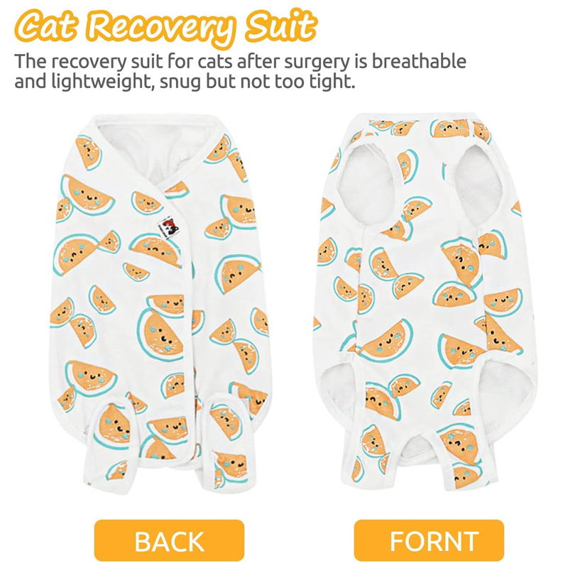 cat recovery suit display
